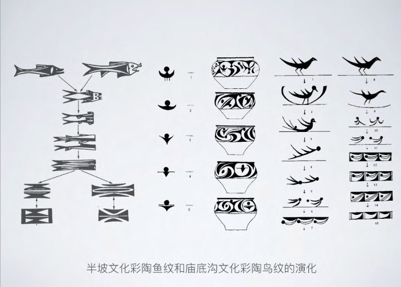 第四部分考古学方法类型学