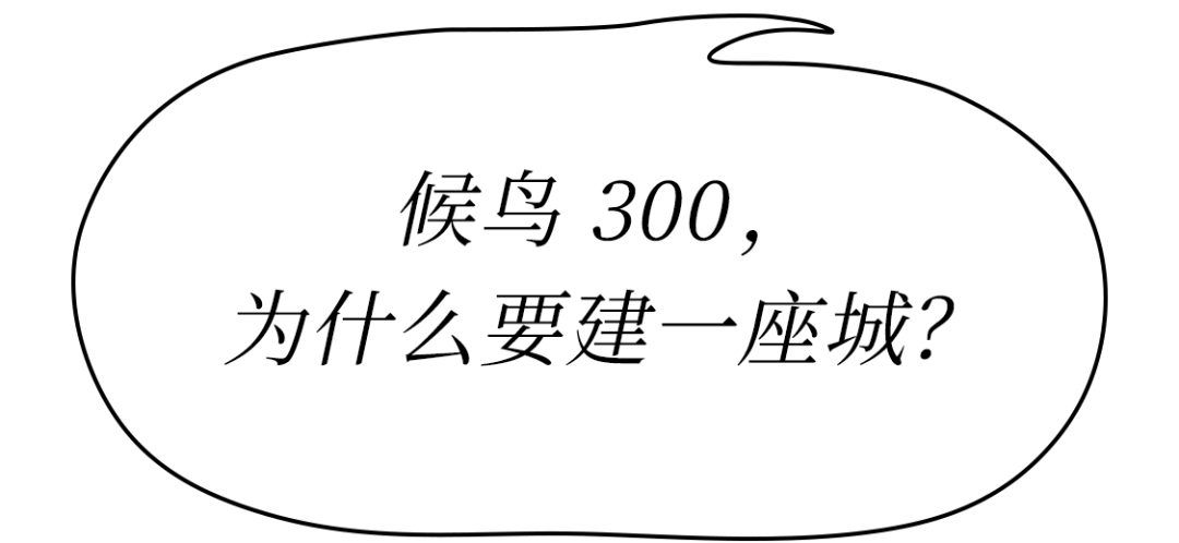 文章配图-104