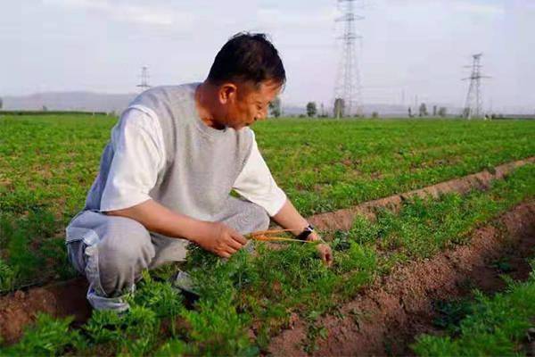 现一批批"孟德智""王文英""李斌"悄然改良着原平的人才结构与创新土壤