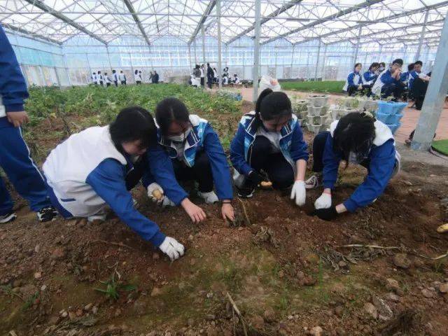 践行十个一扬帆启航逐梦未来青岛十九中高一年级学农实践活动之感悟篇