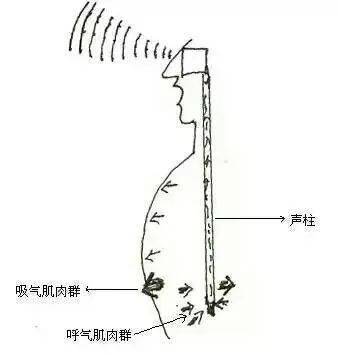 为什么一定要用胸腹联合式呼吸法?讲解 实用,快收藏!