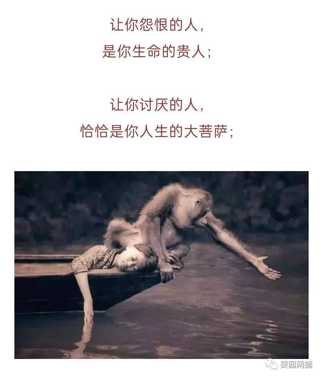 相见恨晚的简谱_彭佳慧相见恨晚(2)