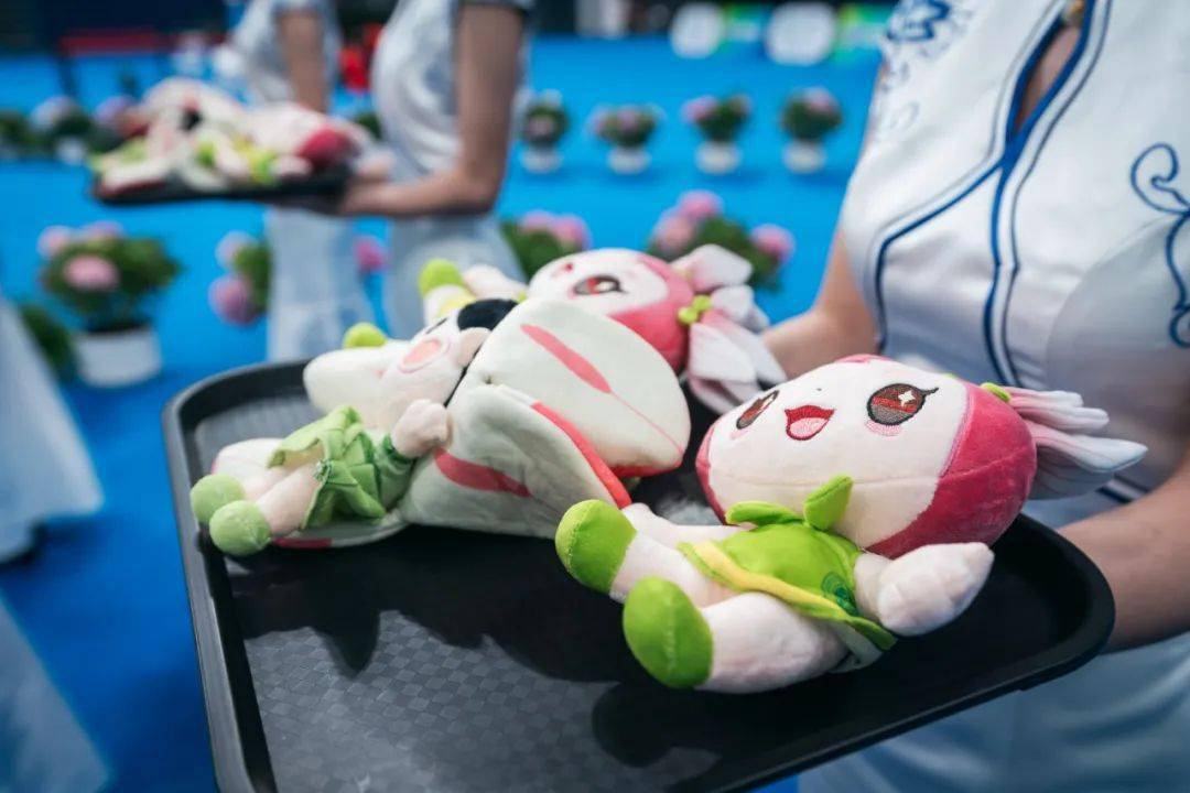 十四运会艺术体操测试赛在西北大学圆满收官