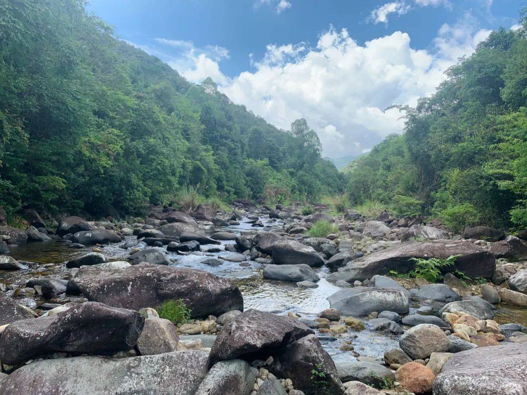 山沟沟简谱_回到山沟沟简谱(3)