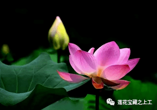 53f371949dbb4b9f89fa1dbe9d48e01f.png