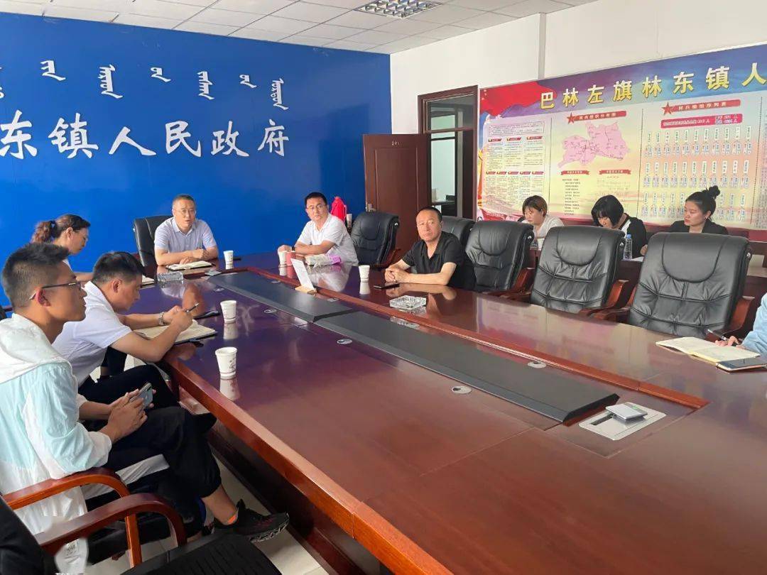 【部门动态】林东镇召开第二针新冠疫苗接种视频会议