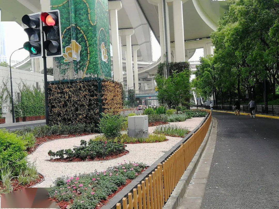 黄浦区高架桥荫绿地改造完成,宛如一曲绿色交响乐(附视频)