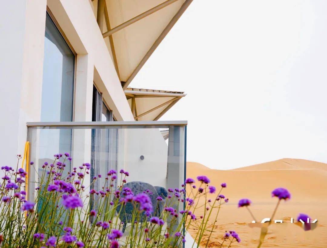 ɳĮ�����ǣ����鱦���������ƾ�����ô������