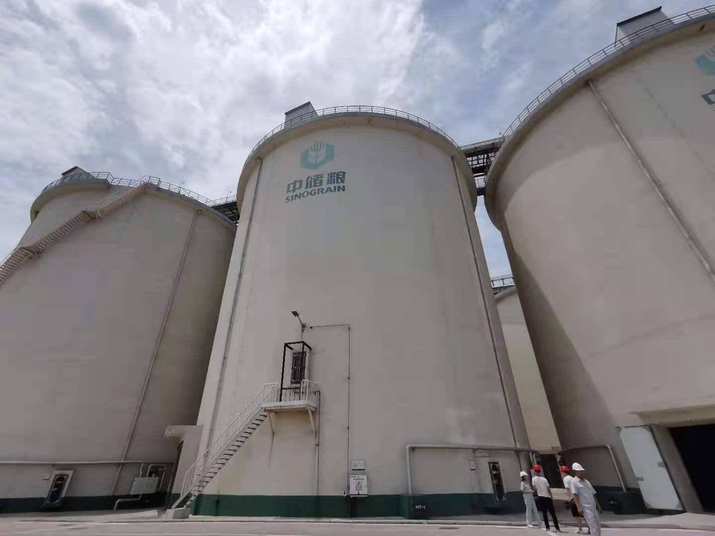 "国家粮仓"长啥样?中储粮举行媒体开放日,原来粮食也住在"空调房"里