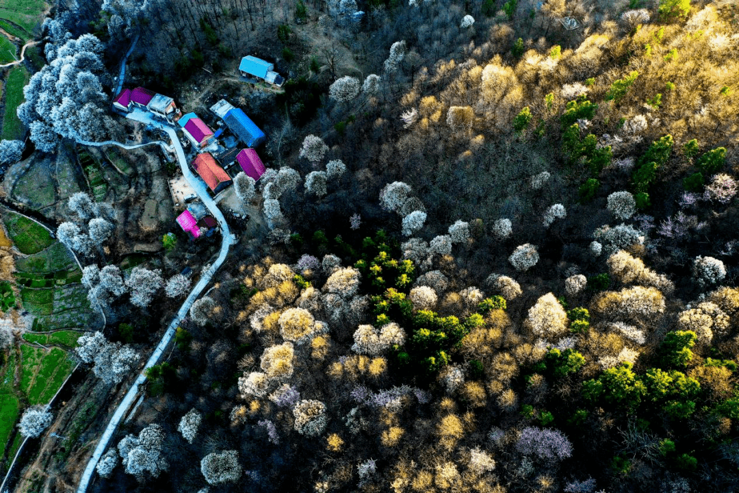 诗画大别山 醉美望春谷 