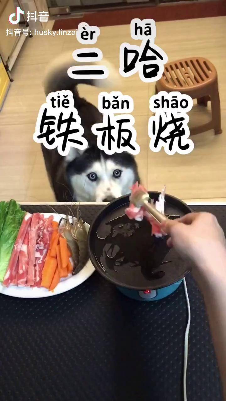 吃播二哈美食吃播咔滋喀滋咔滋