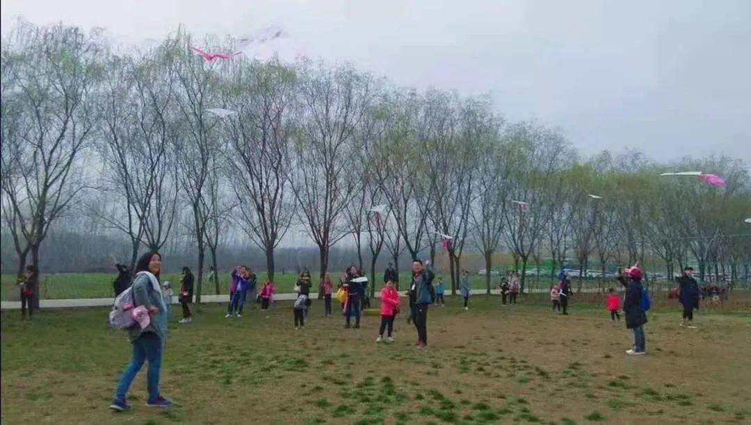 盘点农庄最受欢迎的18个低成本体验项目开云体育 开云官网！(图7)