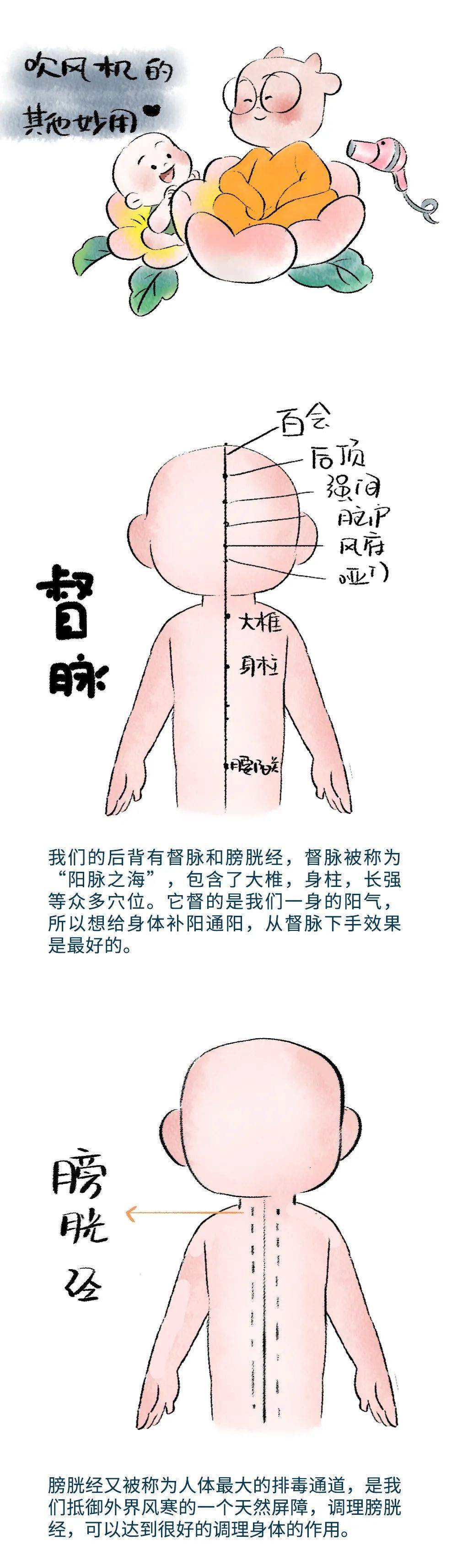 用电吹风吹督脉吹肚子吹后腰吹走一切寒气