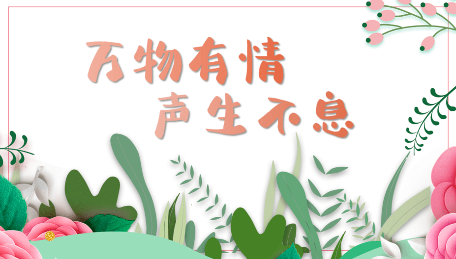 万物有情声生不息