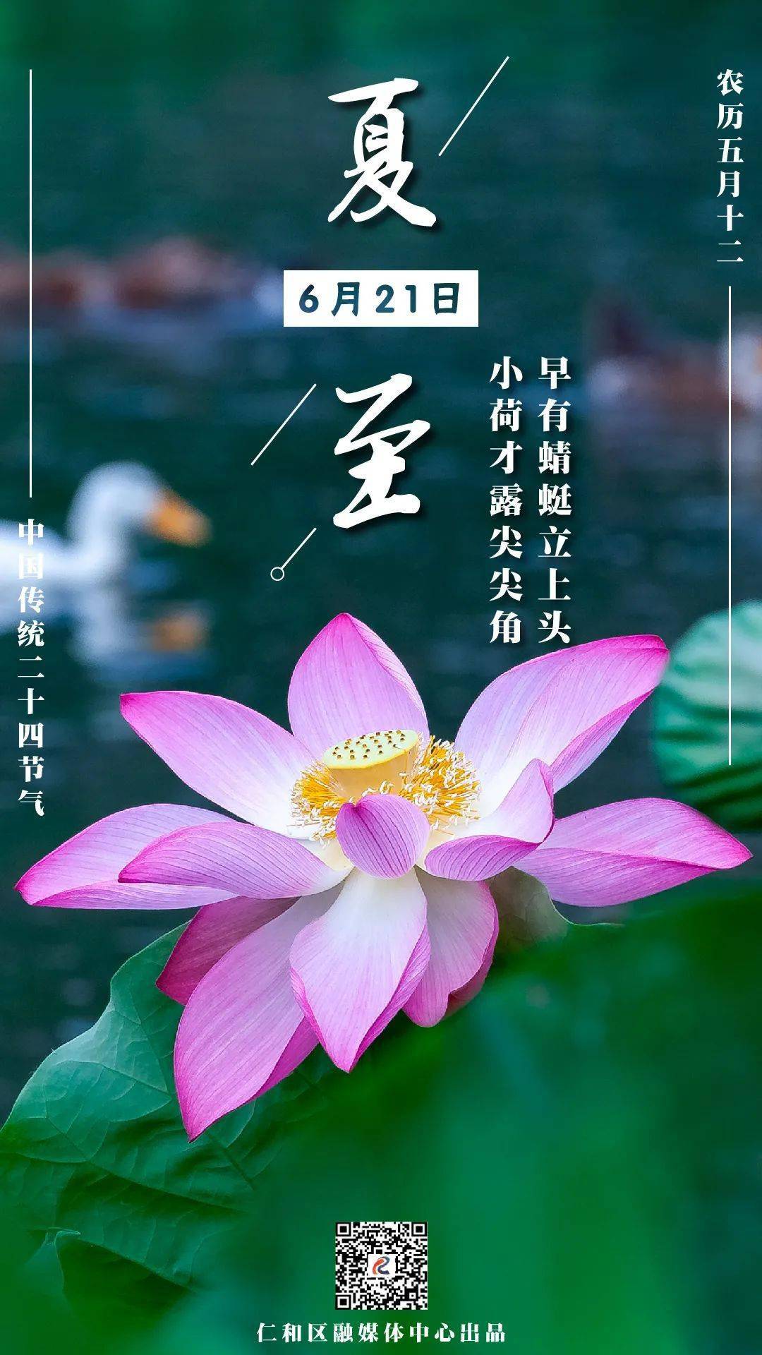 今日夏至!最长的白昼 给最好的你