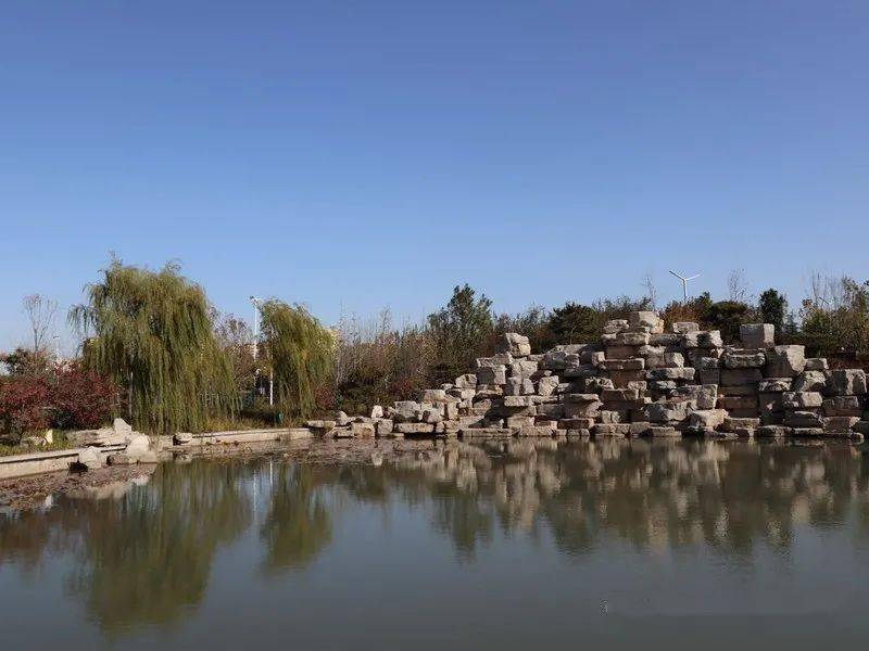 月度之星展播——学生篇_班康欣