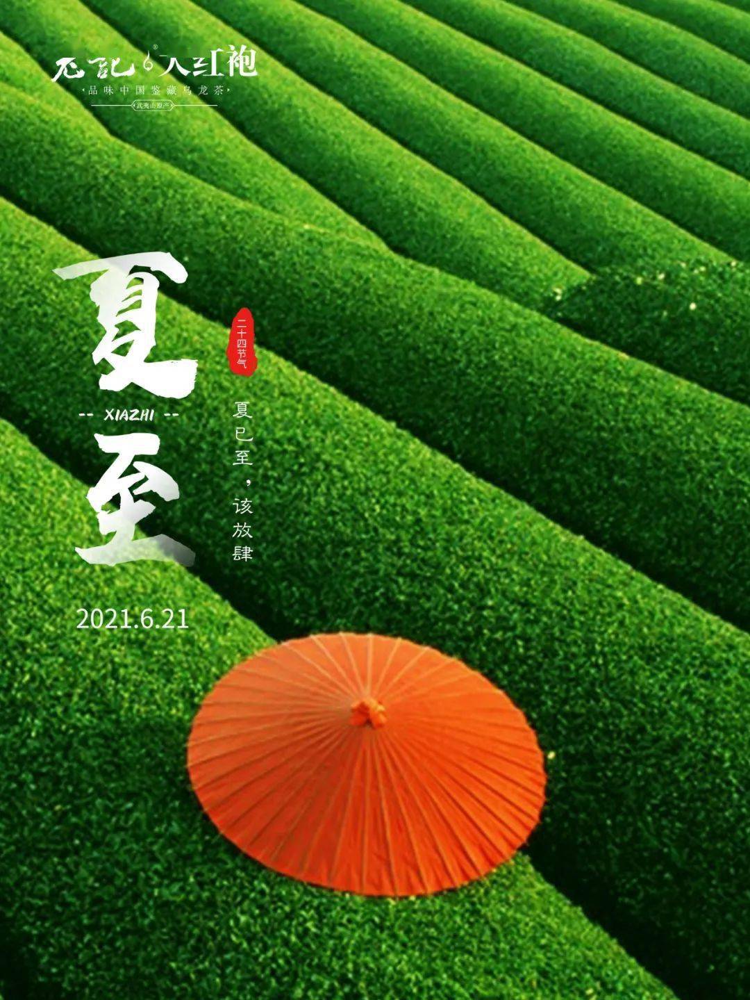 夏至丨才感春来,忽而夏至