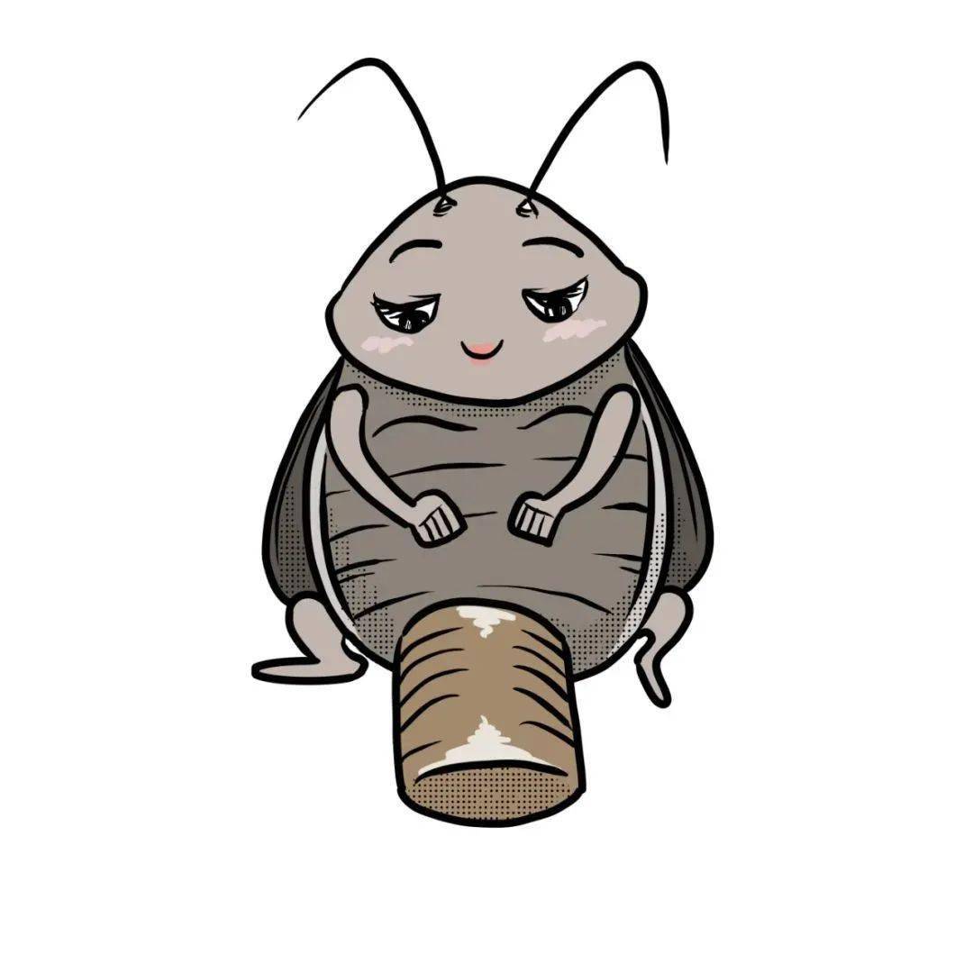 一份赶尽杀绝级别的消灭蟑螂攻略!小白跟着做就行