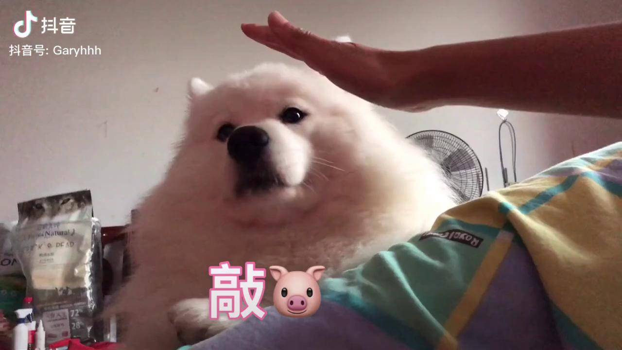 常威打来福
