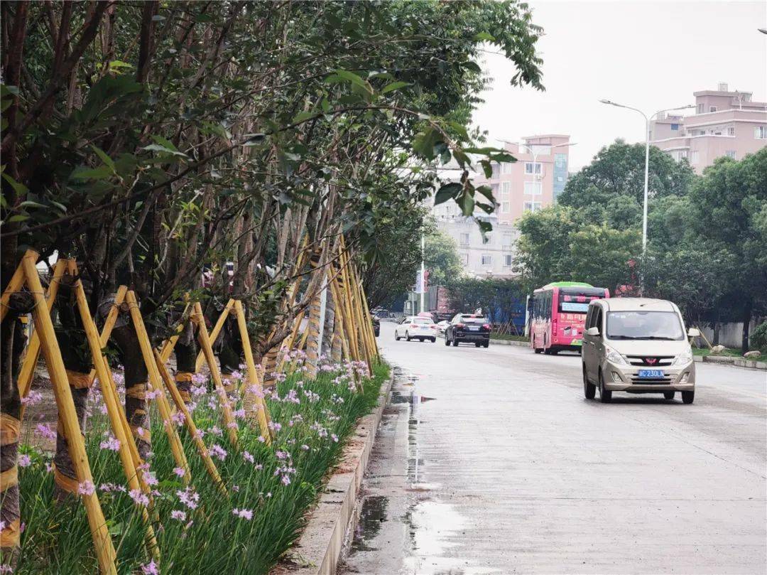 乐清这段路变了.