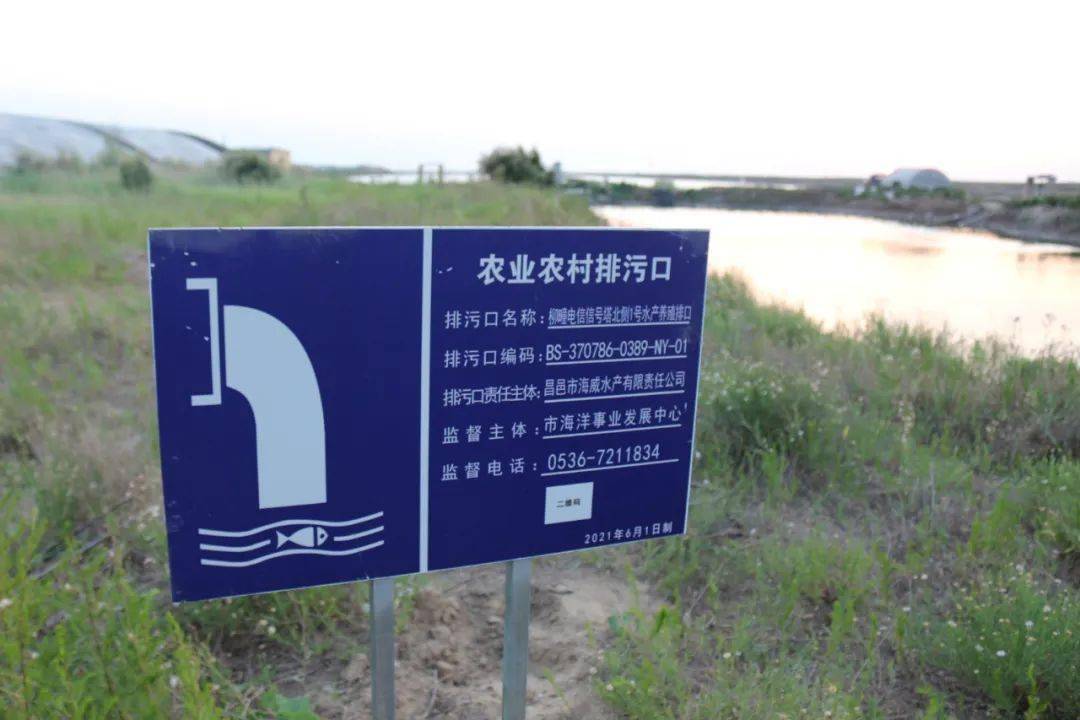 环保无小事督导见实效市财政局领导深入督导入海排污口规范整治工作