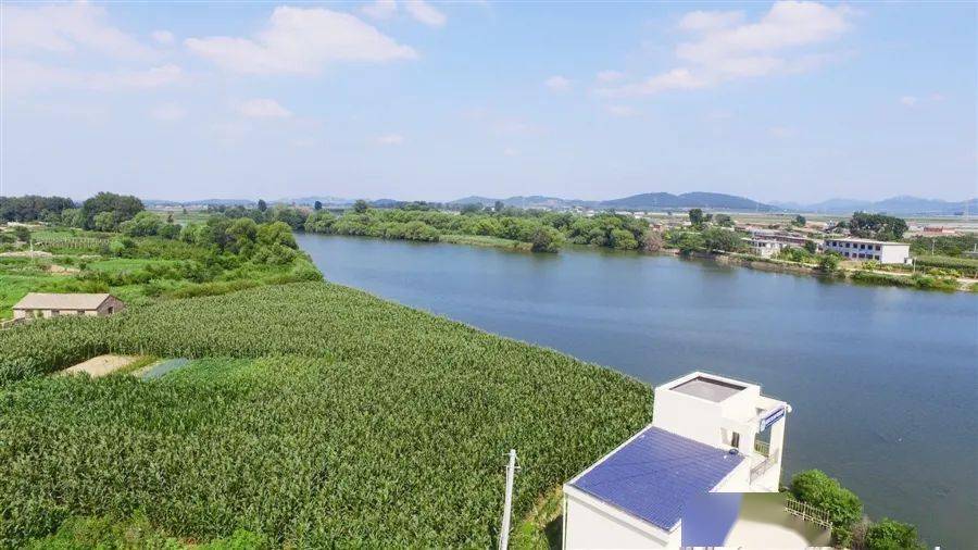 聚焦河流水质突出问题我市开展环境质量达标月活动