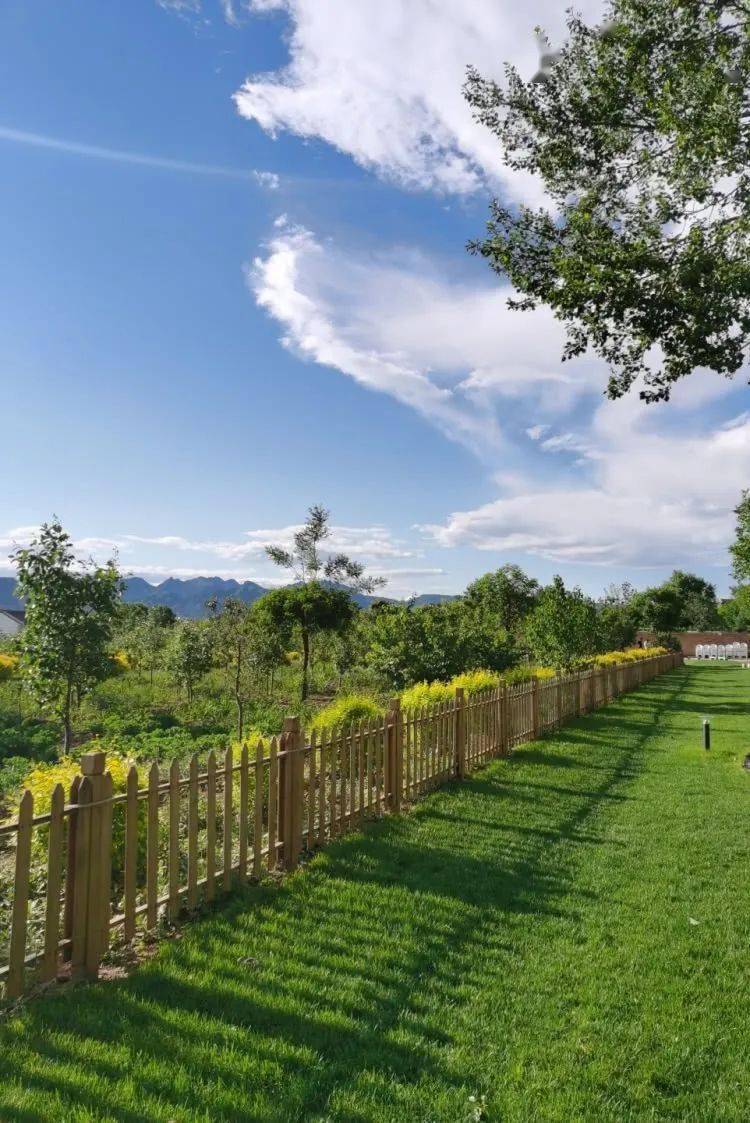 延庆民宿之网红徽式美宿一棵树在北京都能感受白墙黛瓦的徽式独院美宿