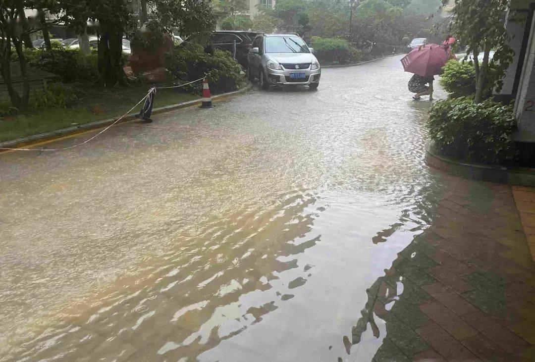 暴雨突袭,梅城多处被浸!_积水