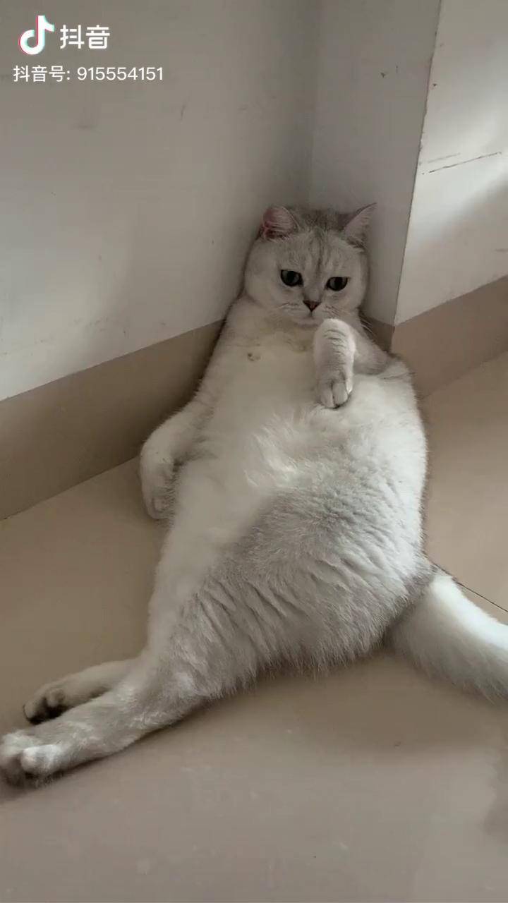 拍肚皮挑战这个肚皮如何