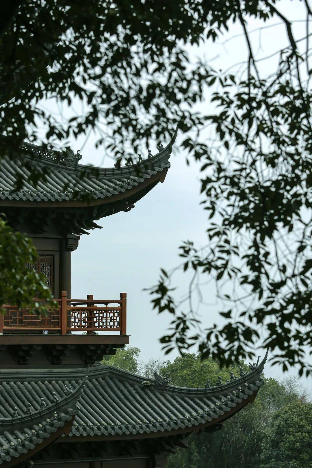 被烟雨江南美哭雨中的法华寺每一帧都值得