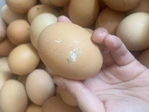 蛋壳上长斑的鸡蛋能吃么