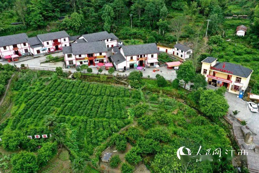 井冈山神山村旧房换新颜 山区变景区