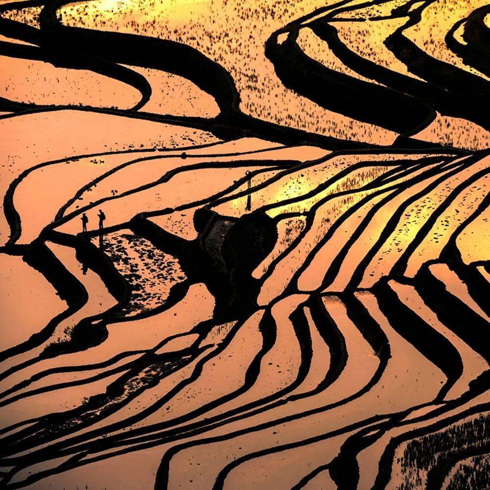 颇可视觉那些律动的光影线条