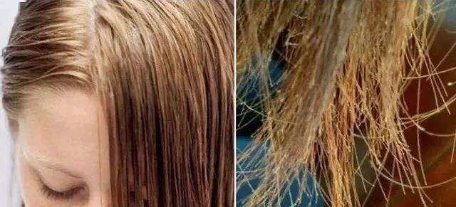 怎么养多头发 7d7987b5613a4298ae7d2d9cf0a33222.jpeg