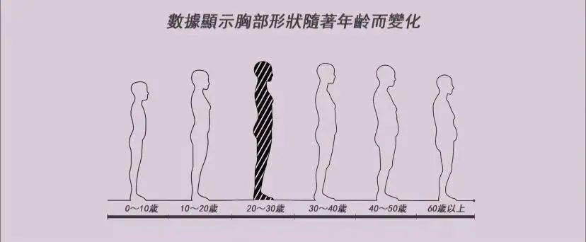 女人一生身材变化图图片