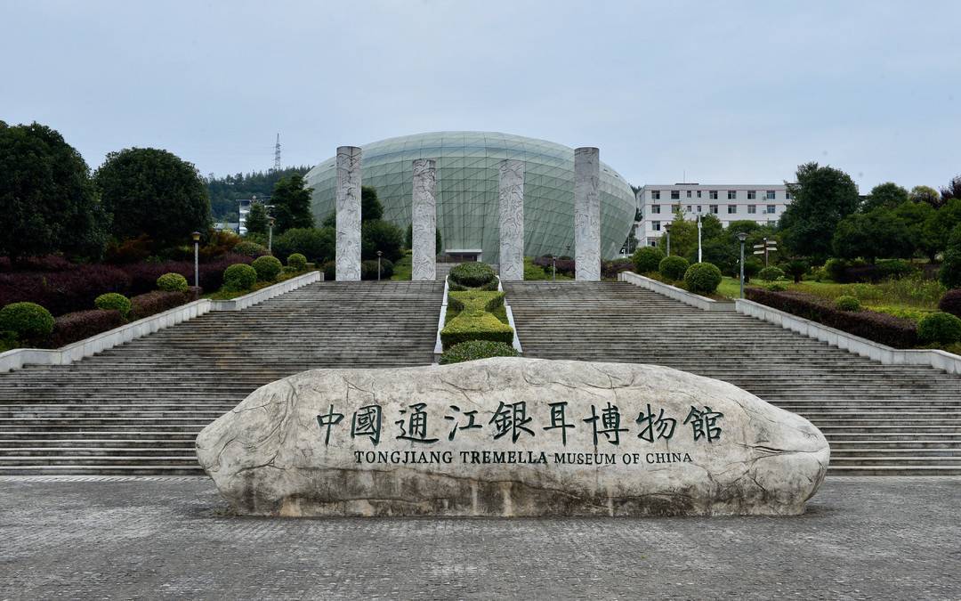 中国银耳博物馆而在提升综合服务水平方面,通江严把行业"准入关",设立