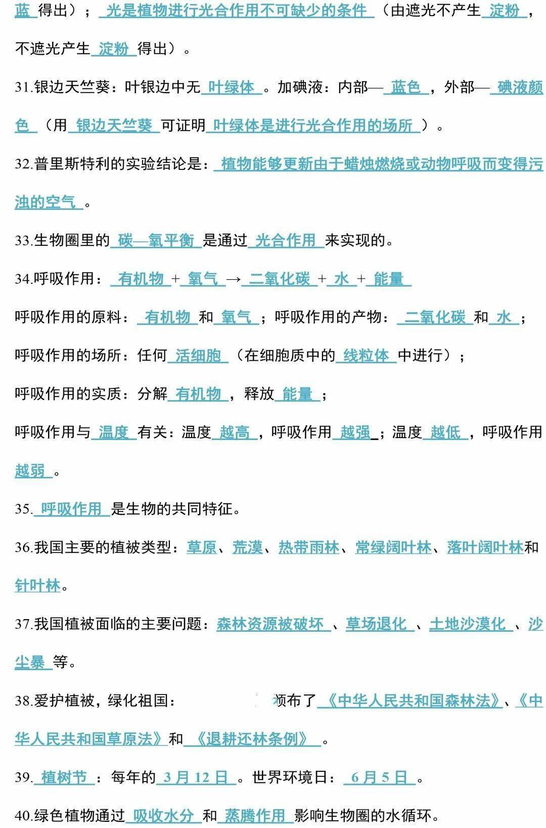 bc1b32633a3848d9a55b80d8df681c90.jpeg