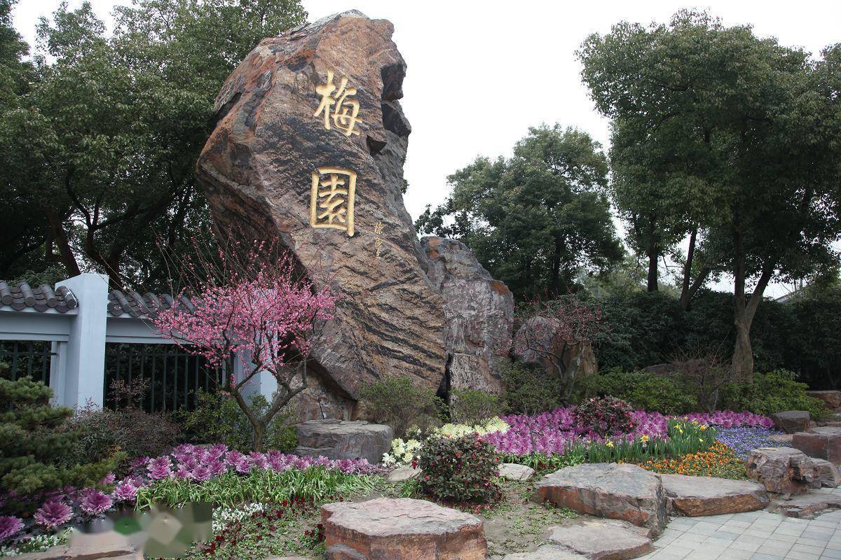 乡土散文梅韵悠悠话梅园