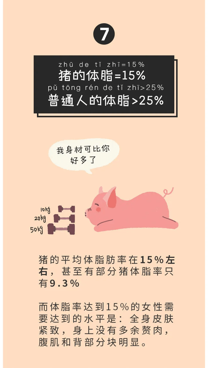 为什么很多情侣酒店的床都是圆形的涨知识了漫画