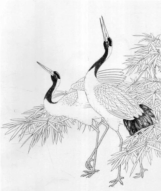 白鹤线描画图片