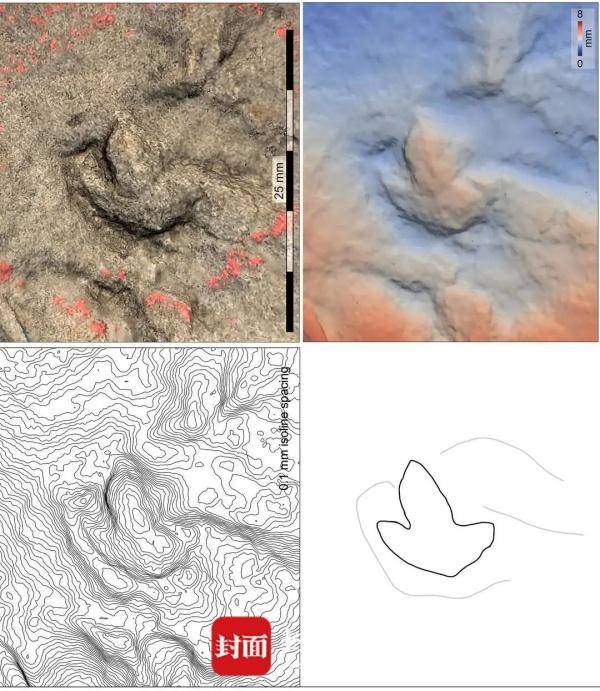 四川发现中国最小恐龙足迹!