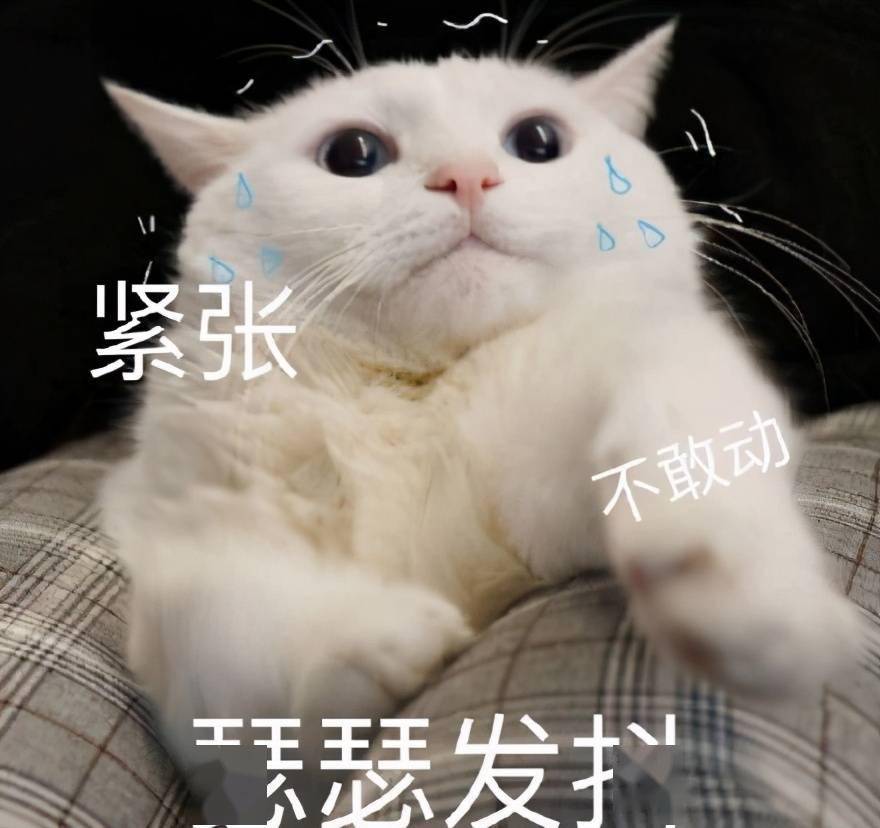 cdb6fdb5818e41698f0dff95c02c7ece.jpeg