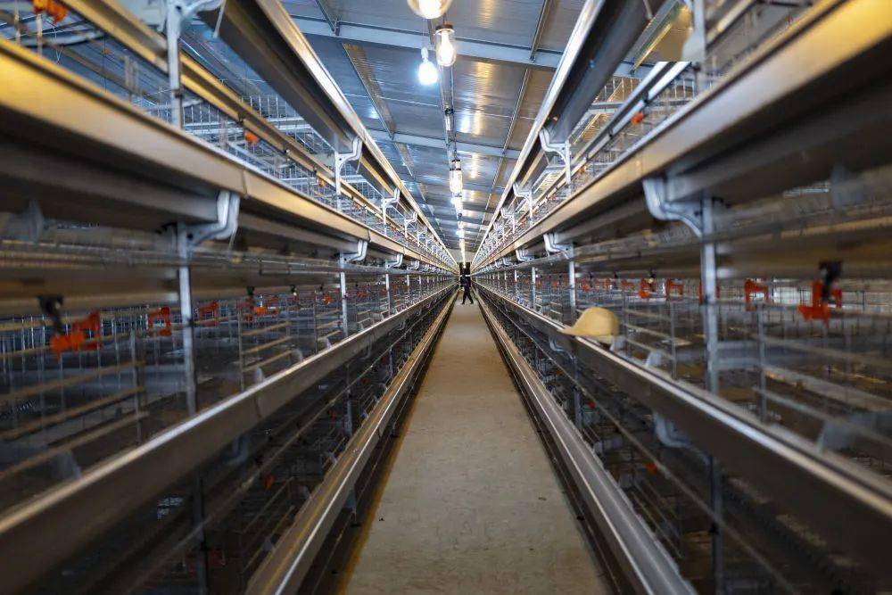 山南市正在建设中的一座现代化智能养鸡场