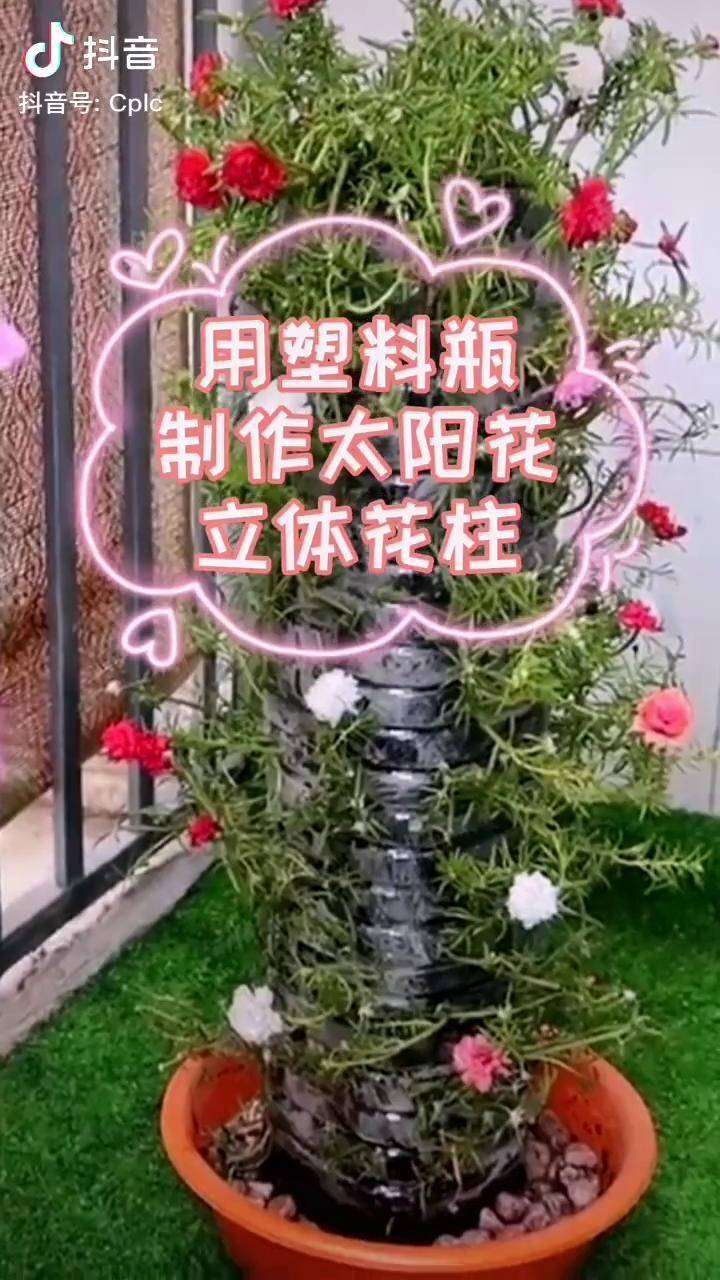 塑料瓶千万别扔了,戳几个洞种上粘土就土的太阳花,秒变创意立体花柱