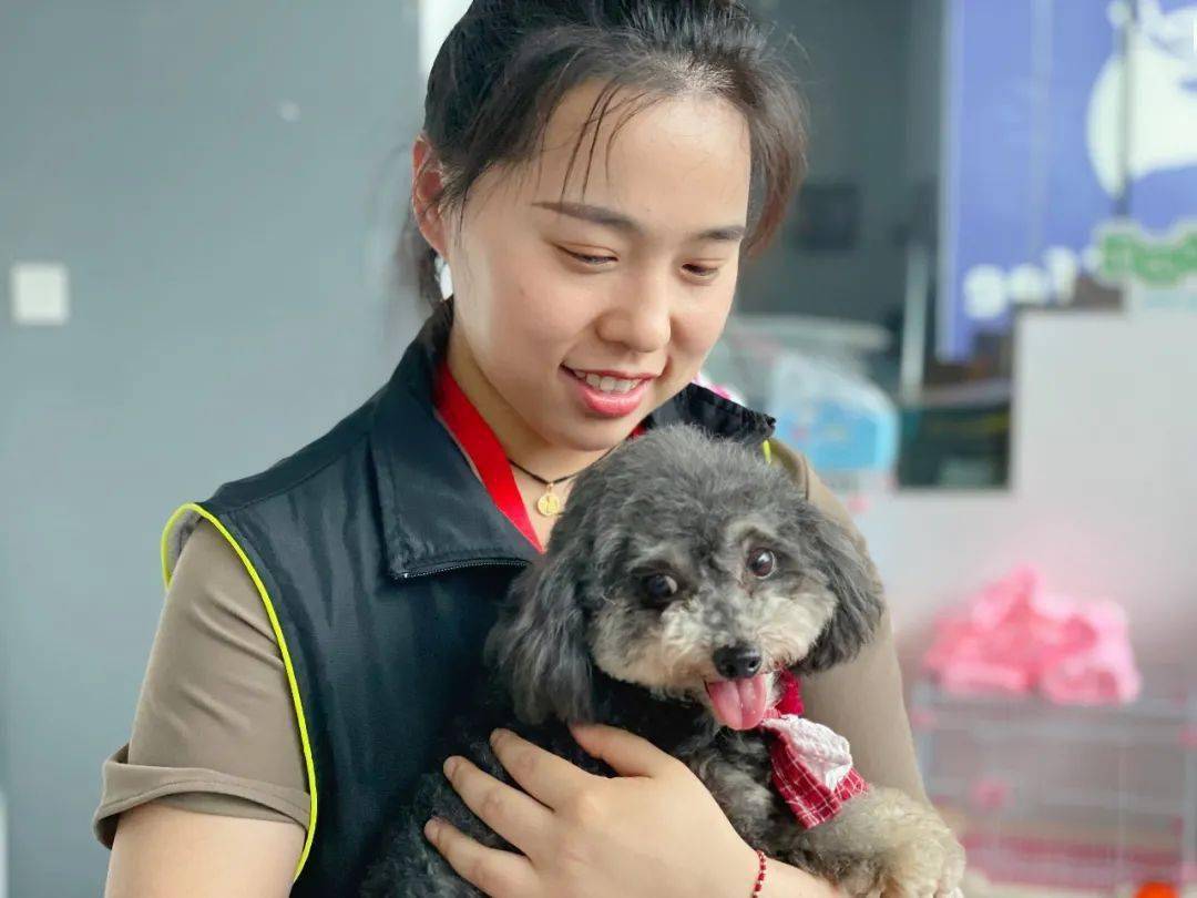 no60线下领养日圆满结束待领养毛小孩联系方式见文内哦