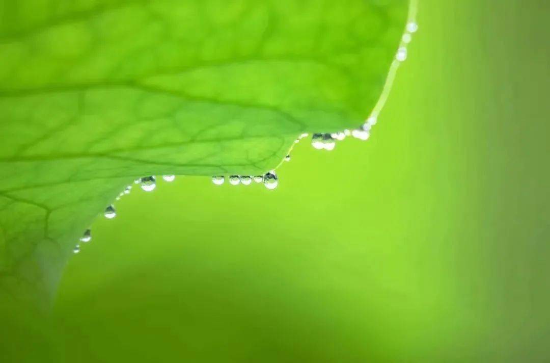 平常心真实 44f6175459104d74a8babe91a692f6ca.jpeg