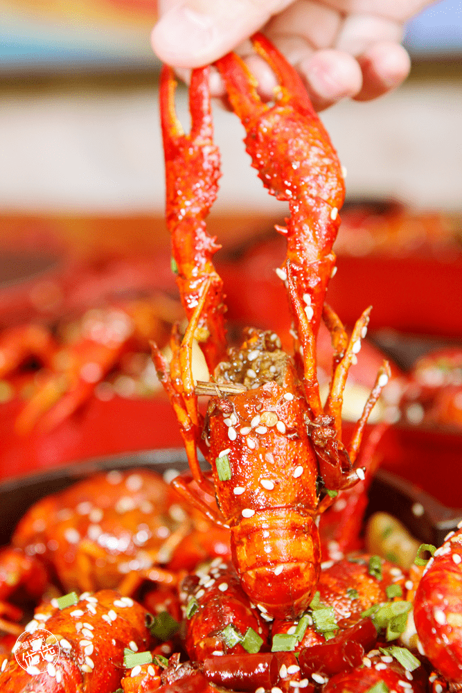 跪着唱征服攀枝花小龙虾界杀出一匹巨无霸黑马xxl号超大size多种口味