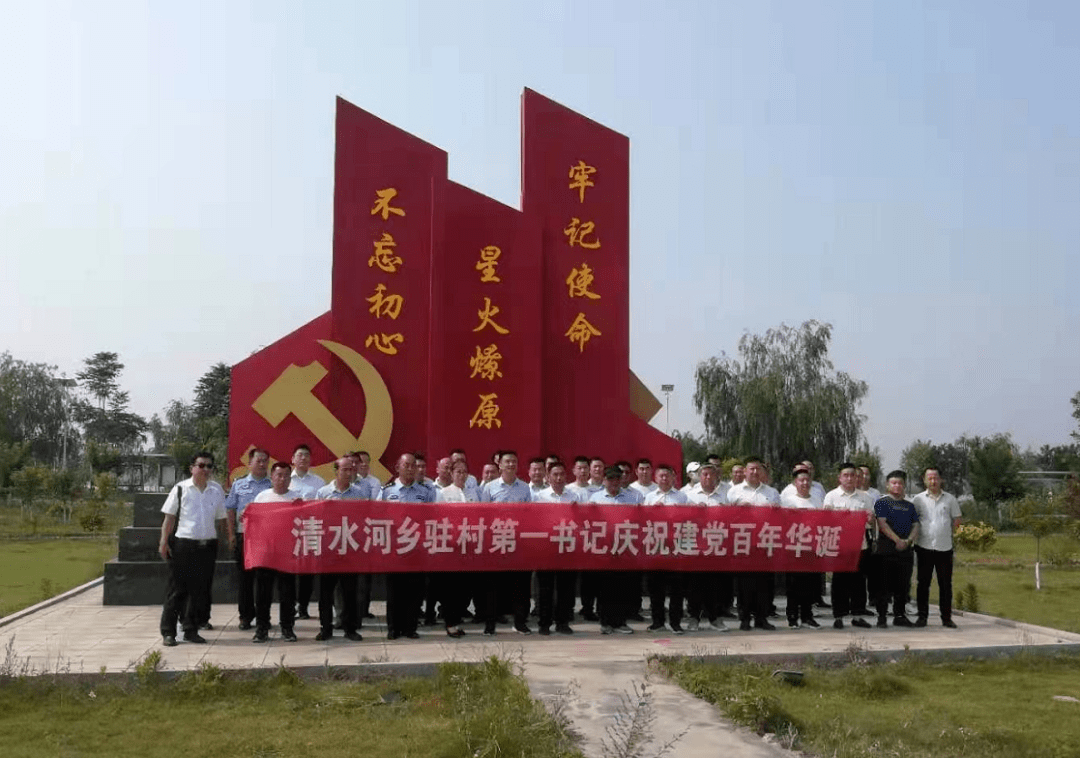 台前县清水河乡组织驻村第一书记开展重温入党誓词暨"担当有作为,永远