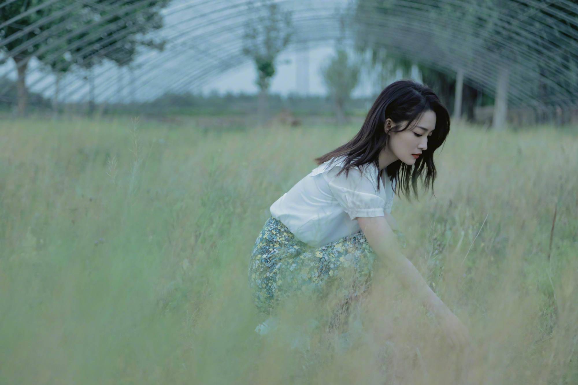 李沁手捧鲜花发布说说表达心情粉丝感叹颜值女神