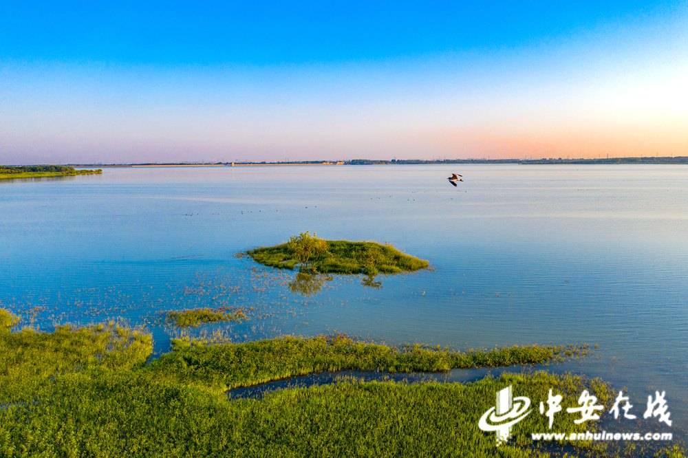 近年来,安徽省合肥市肥东县坚持生态优先,绿色发展,强化淠史杭灌区